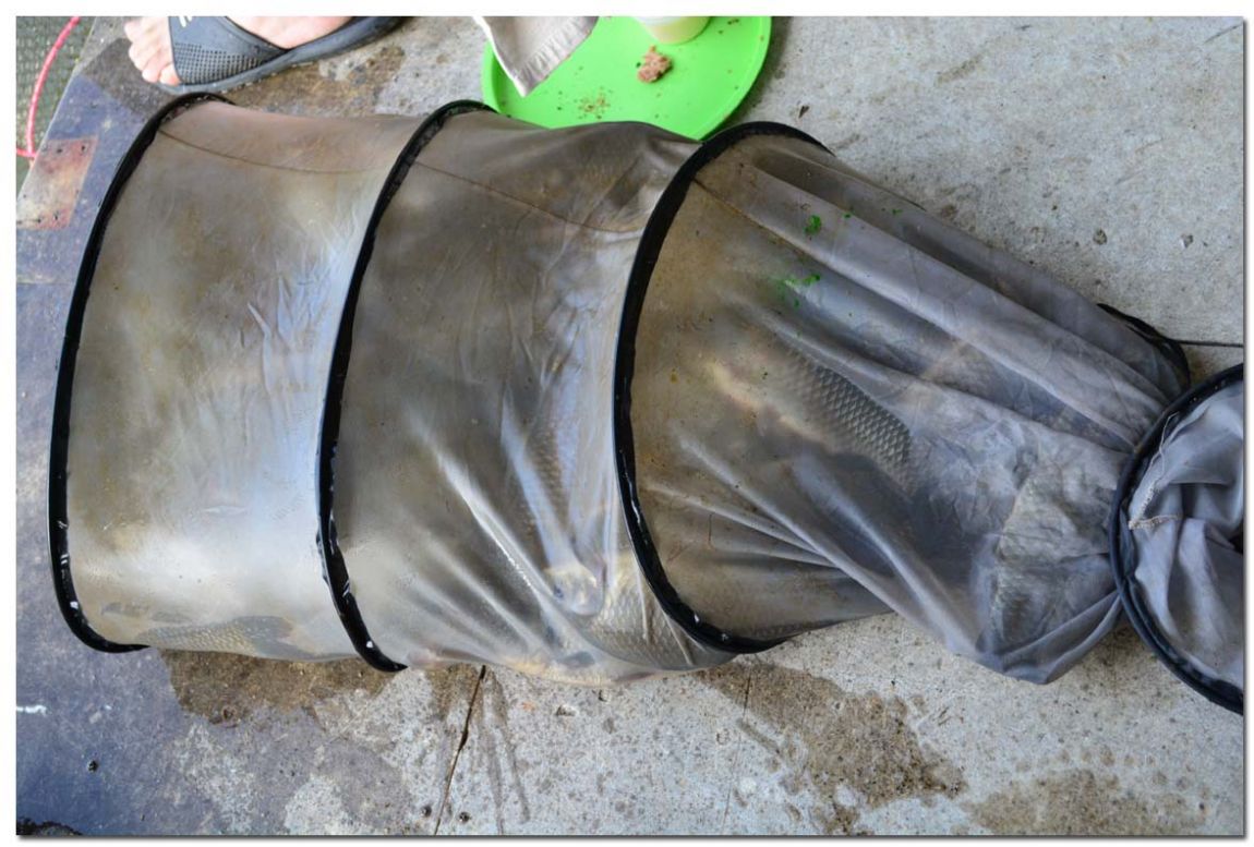 Untitled-1 copy 5.jpg