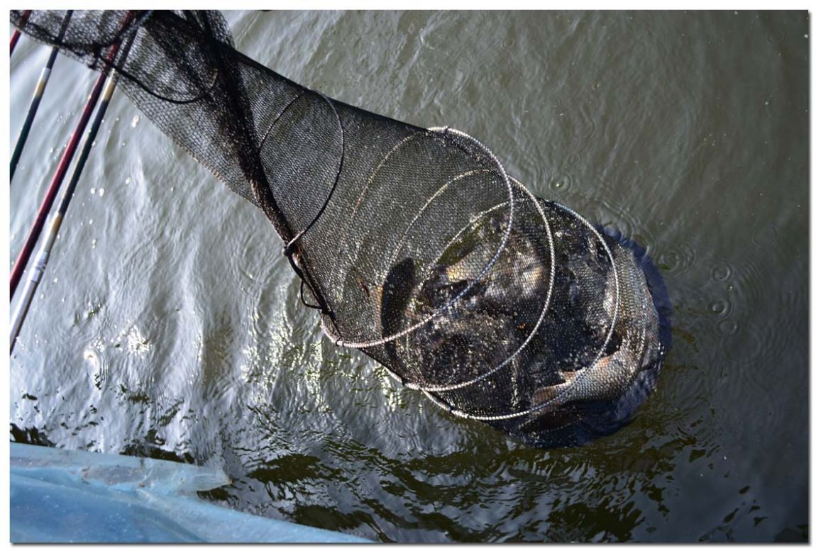 Untitled-1 copy 7.jpg