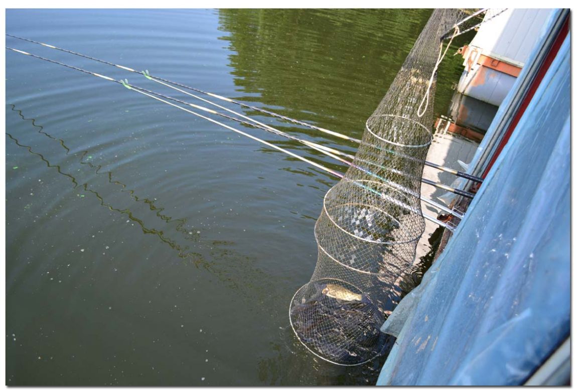 Untitled-1 copy 6.jpg