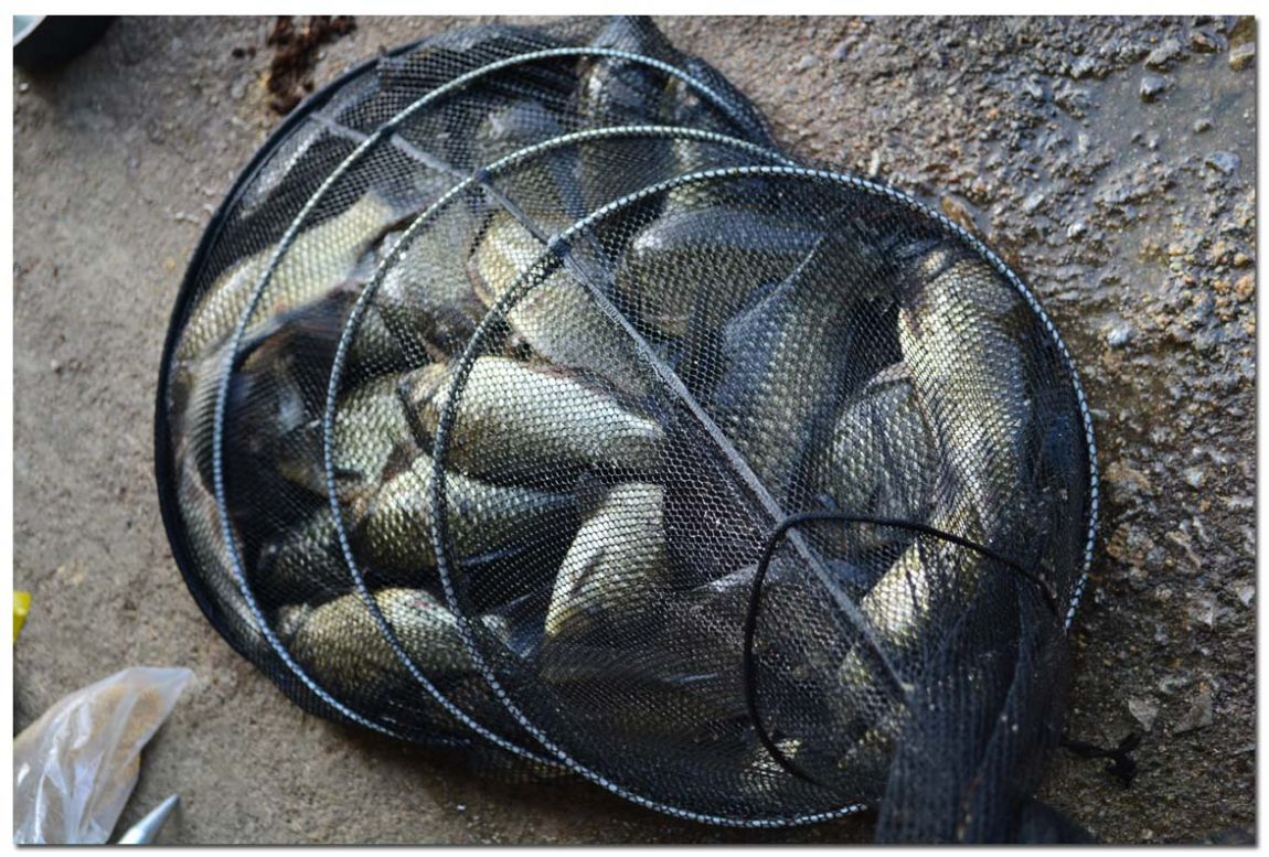 Untitled-1 copy 8.jpg