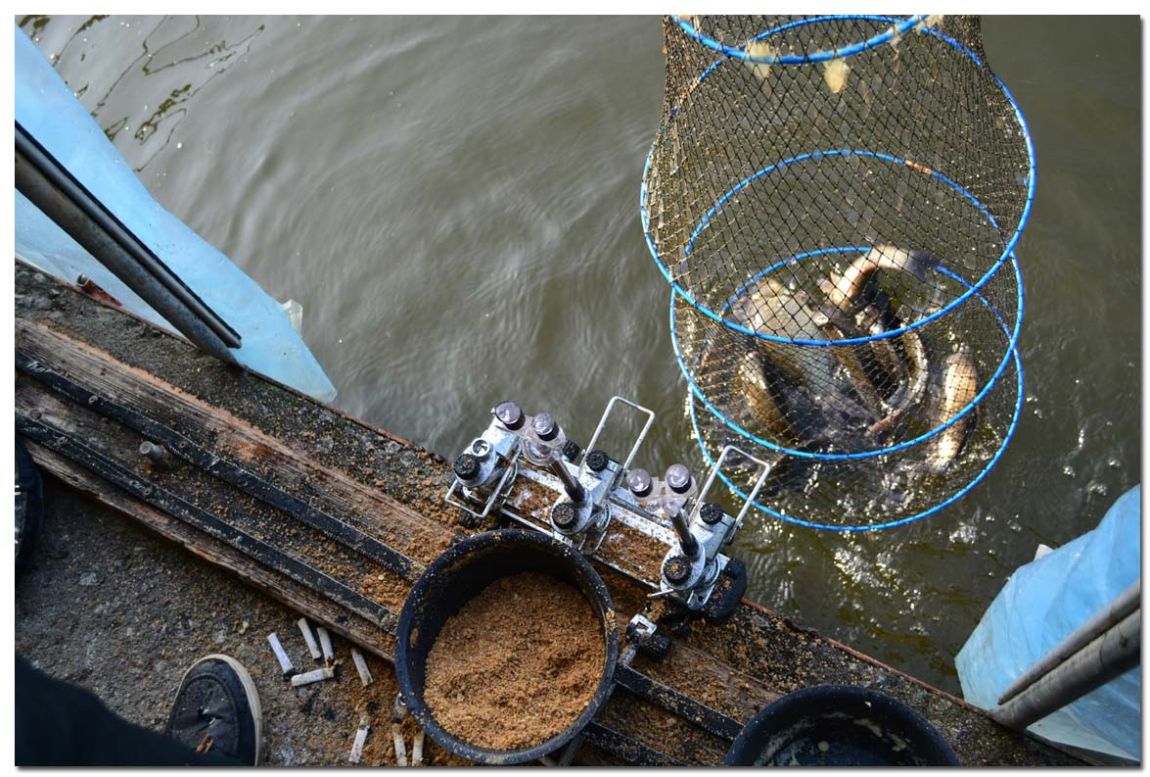 Untitled-1 copy 10.jpg