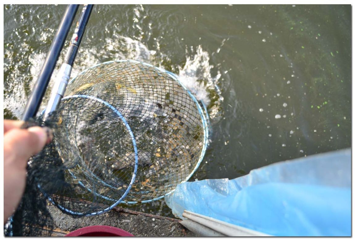 Untitled-1 copy 9.jpg