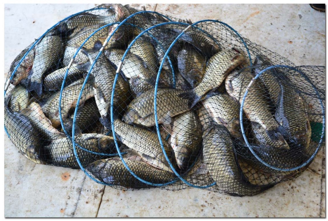 Untitled-1 copy 15.jpg