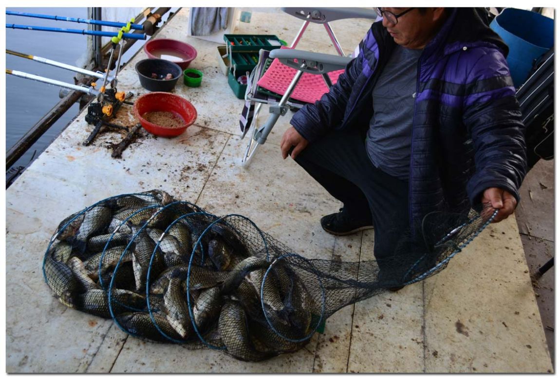 Untitled-1 copy 16.jpg