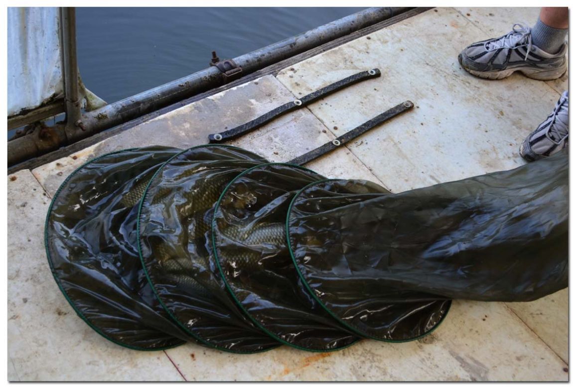 Untitled-1 copy 17.jpg