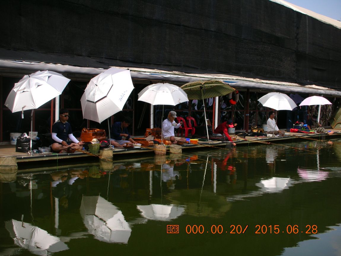 DSCN4020.JPG