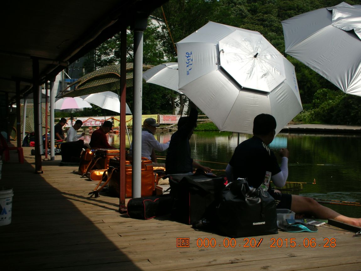 DSCN4021.JPG