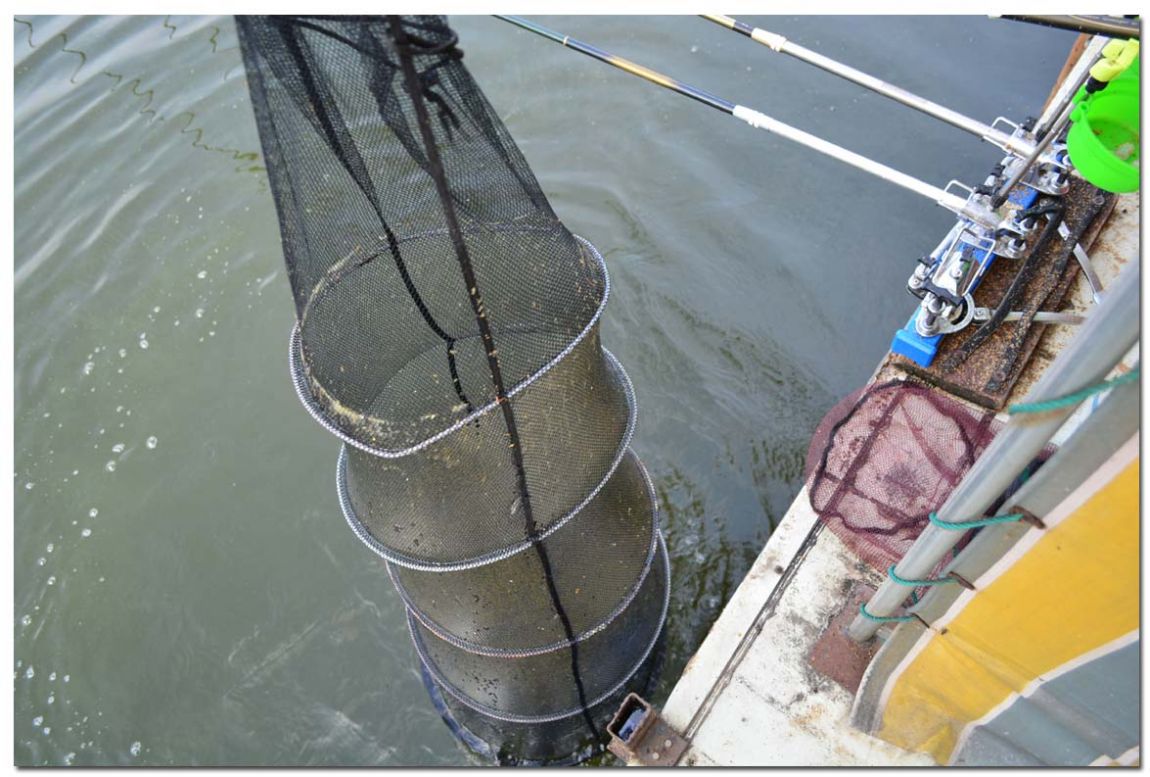 Untitled-1 copy 3.jpg