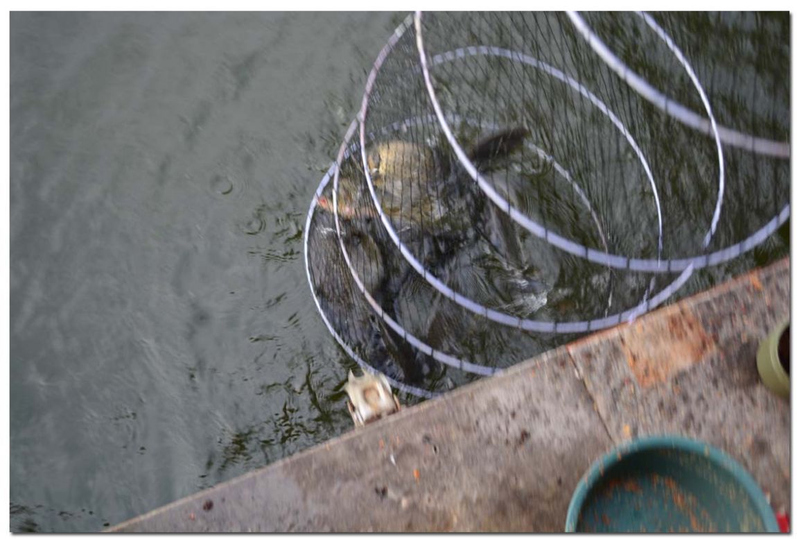 Untitled-1 copy 5.jpg