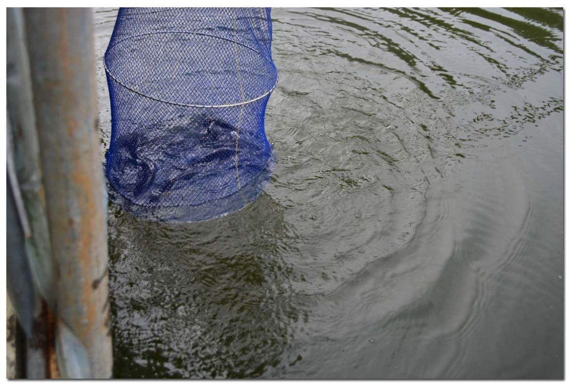 Untitled-1 copy 6.jpg