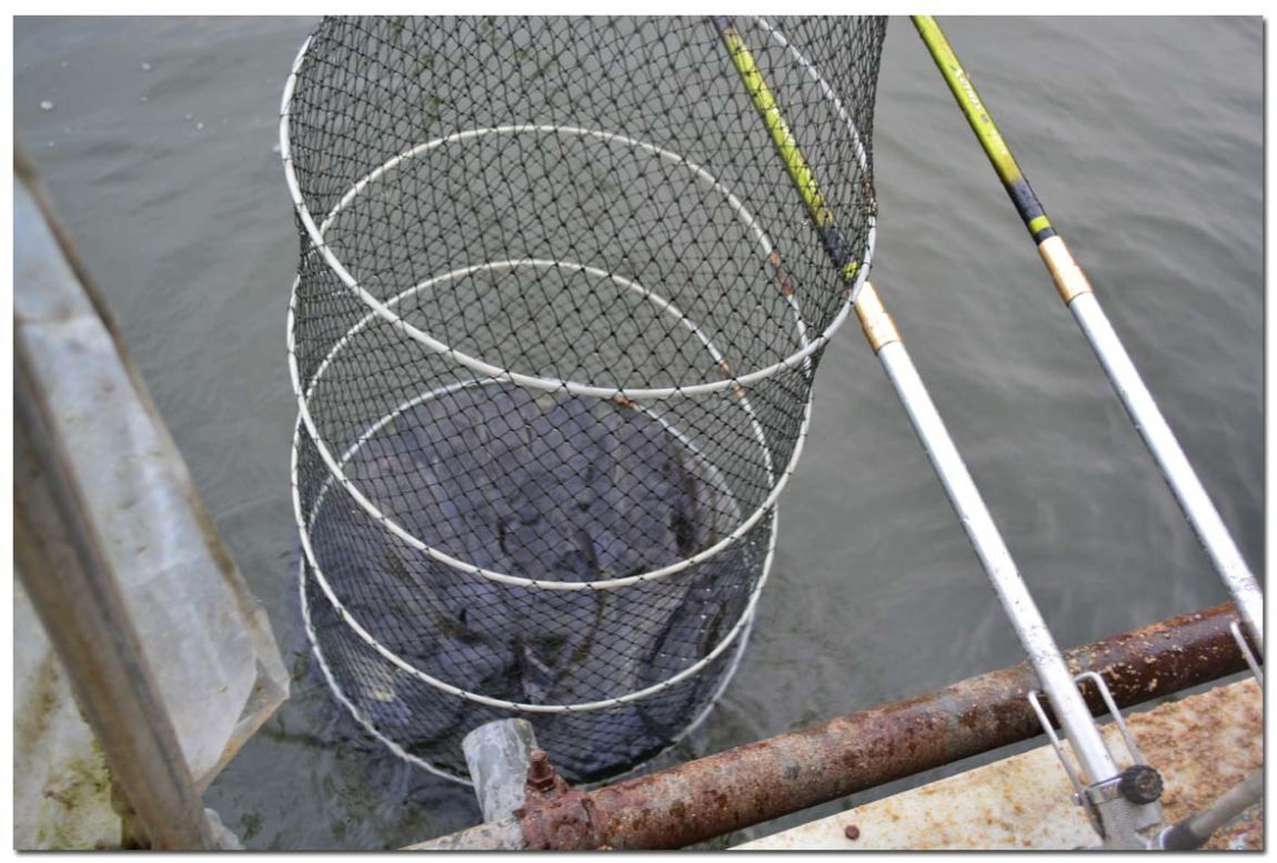 Untitled-1 copy 8.jpg