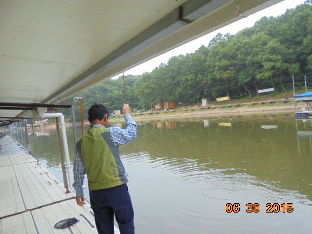 DSC02401.JPG