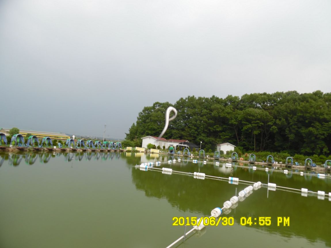 629~30 021.JPG