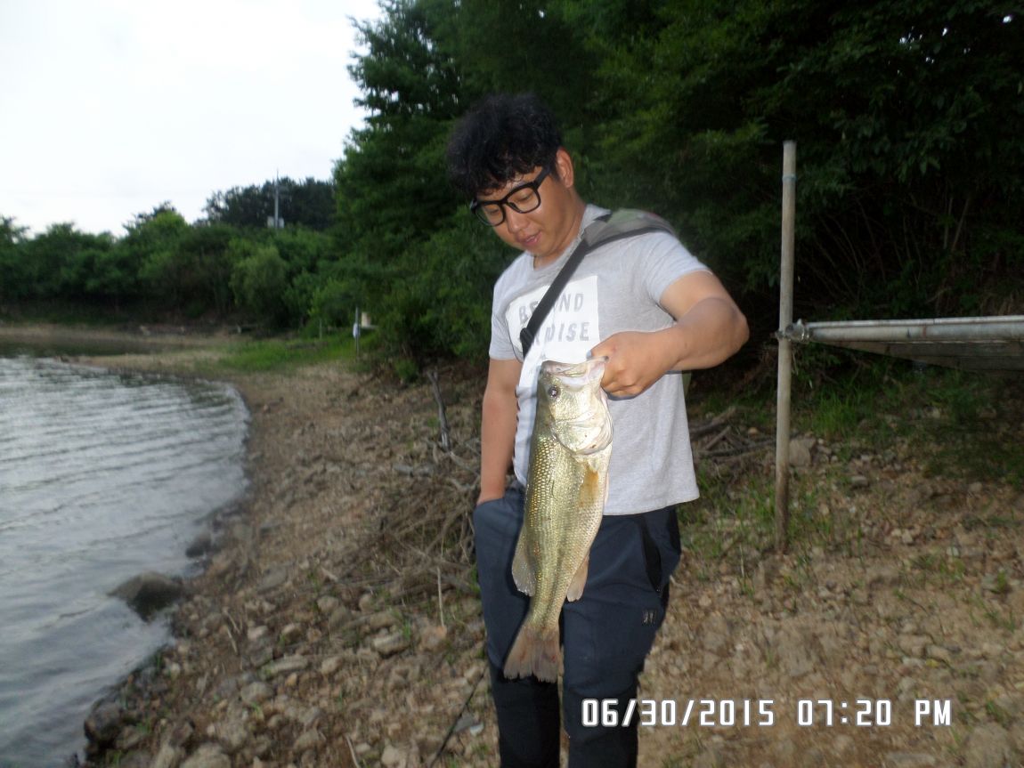 SAM_1644.JPG