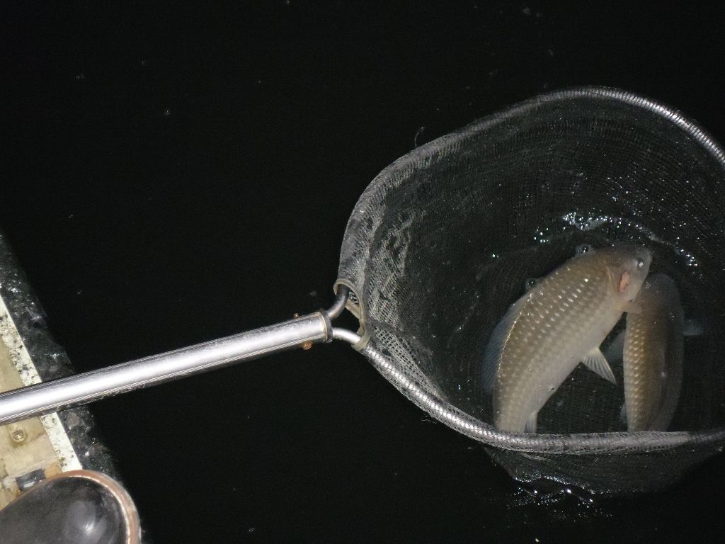 ������ ���� 007.jpg