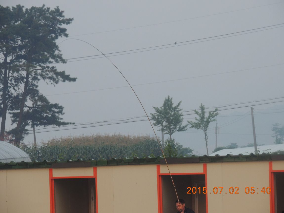 DSCN8073.JPG