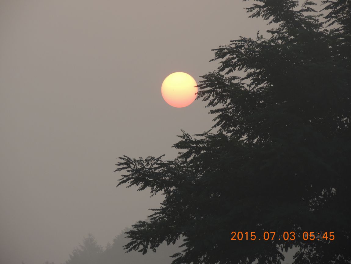 DSCN8121.JPG