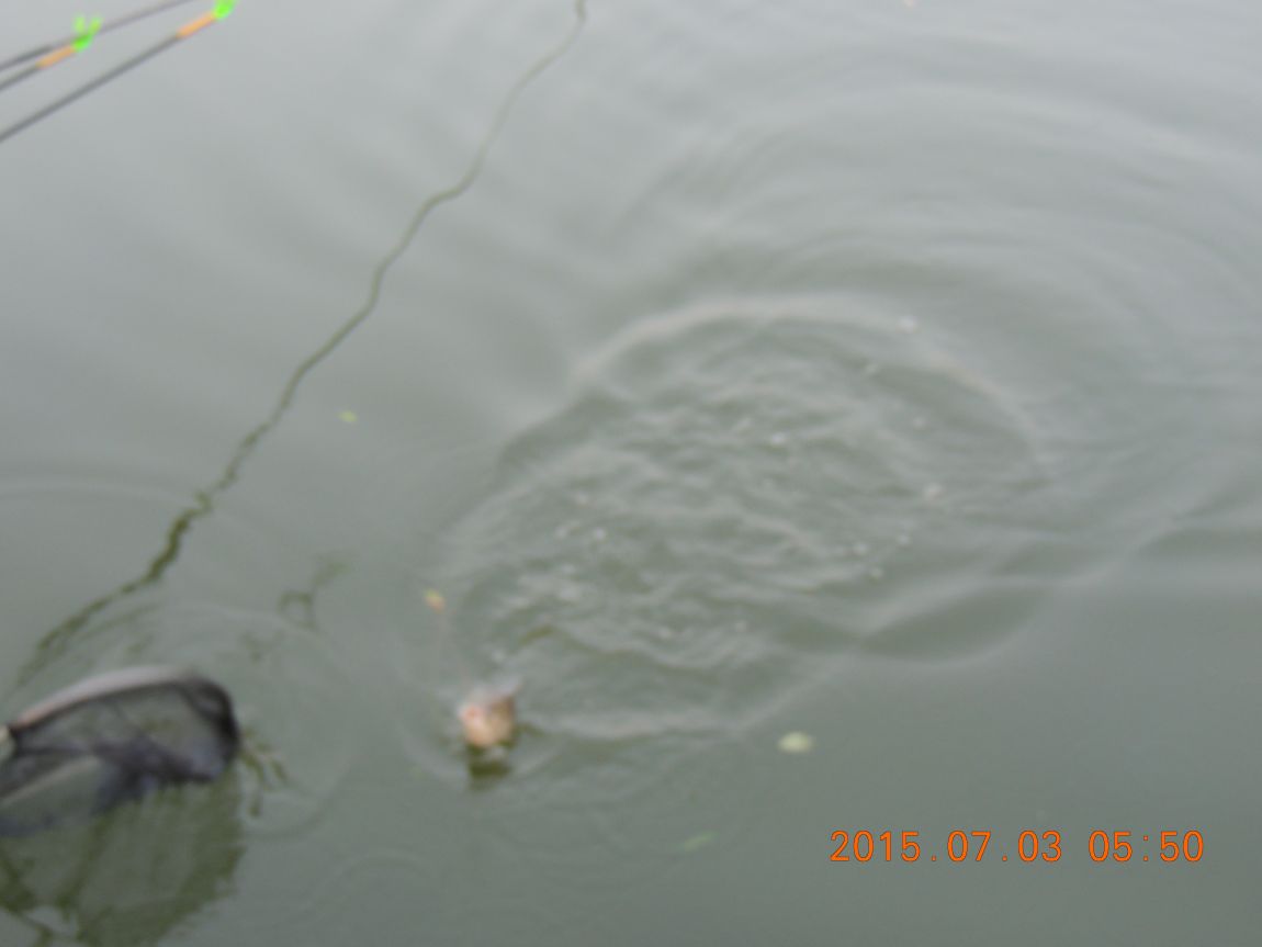 DSCN8124.JPG