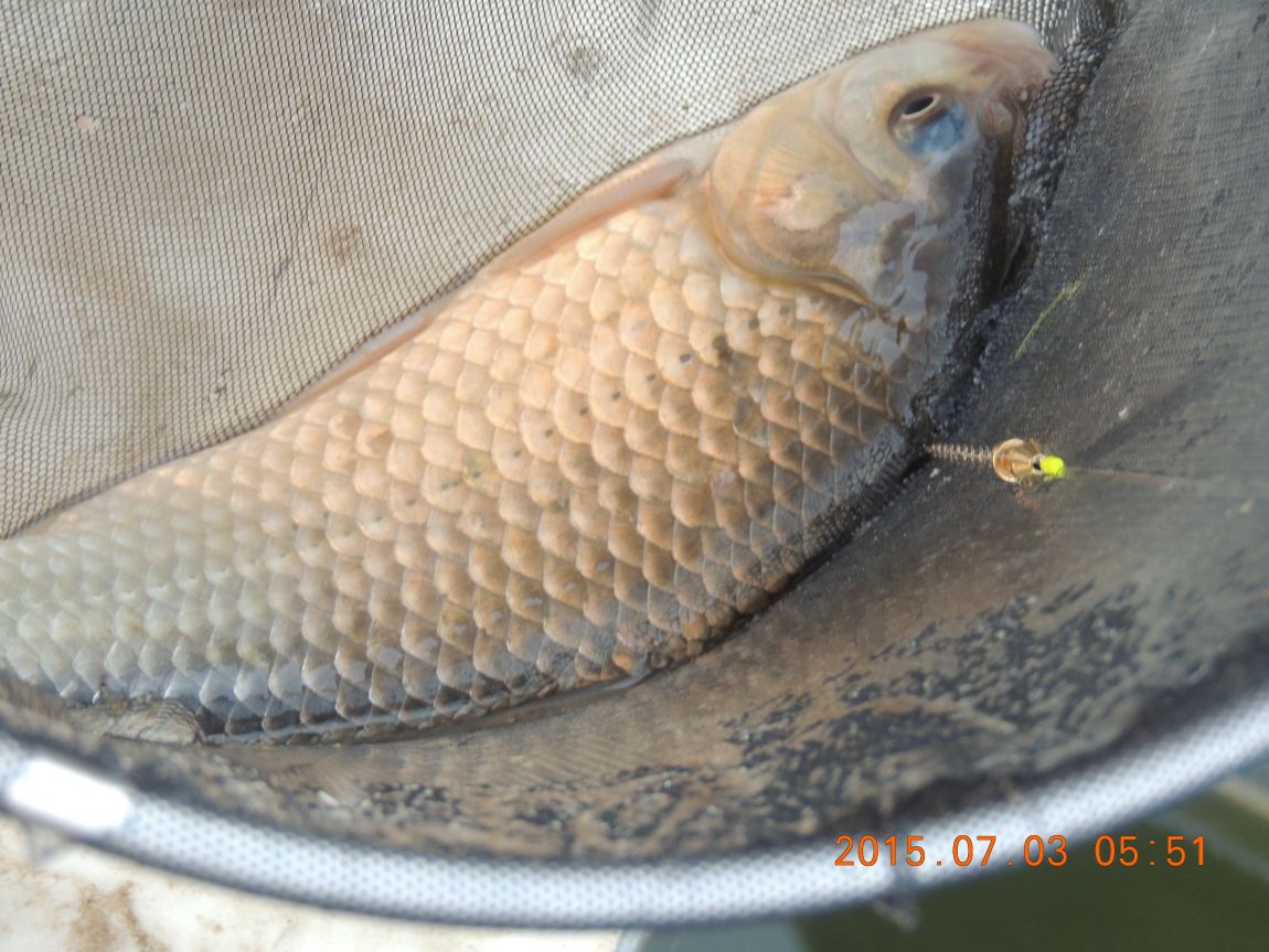 DSCN8125.JPG