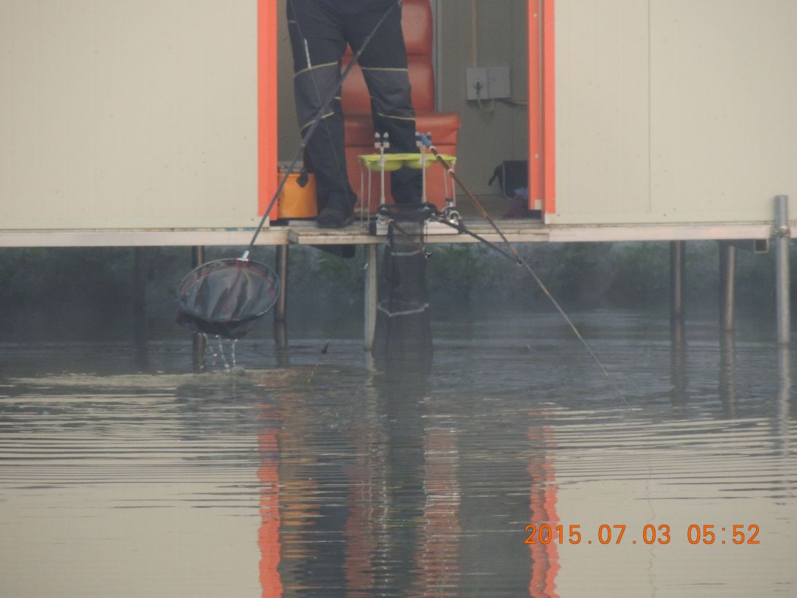 DSCN8126.JPG