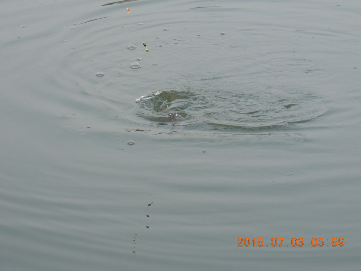 DSCN8133.JPG