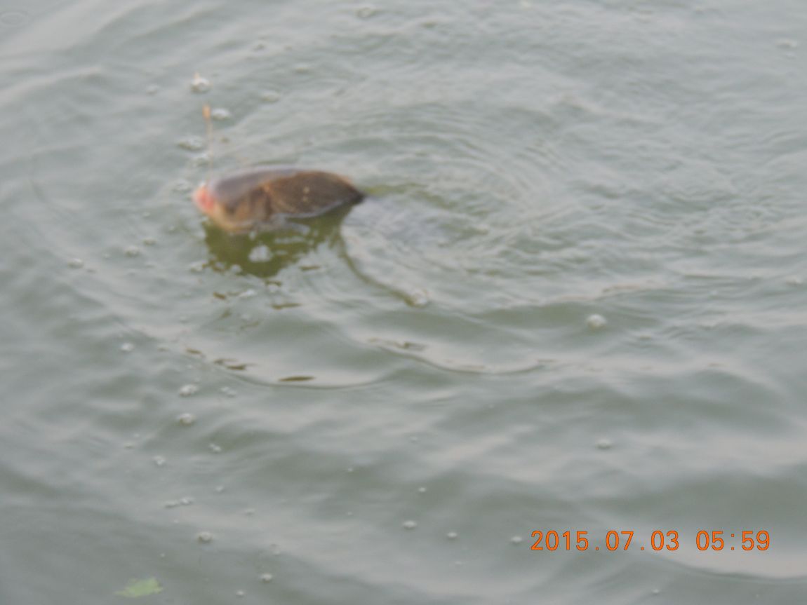 DSCN8134.JPG