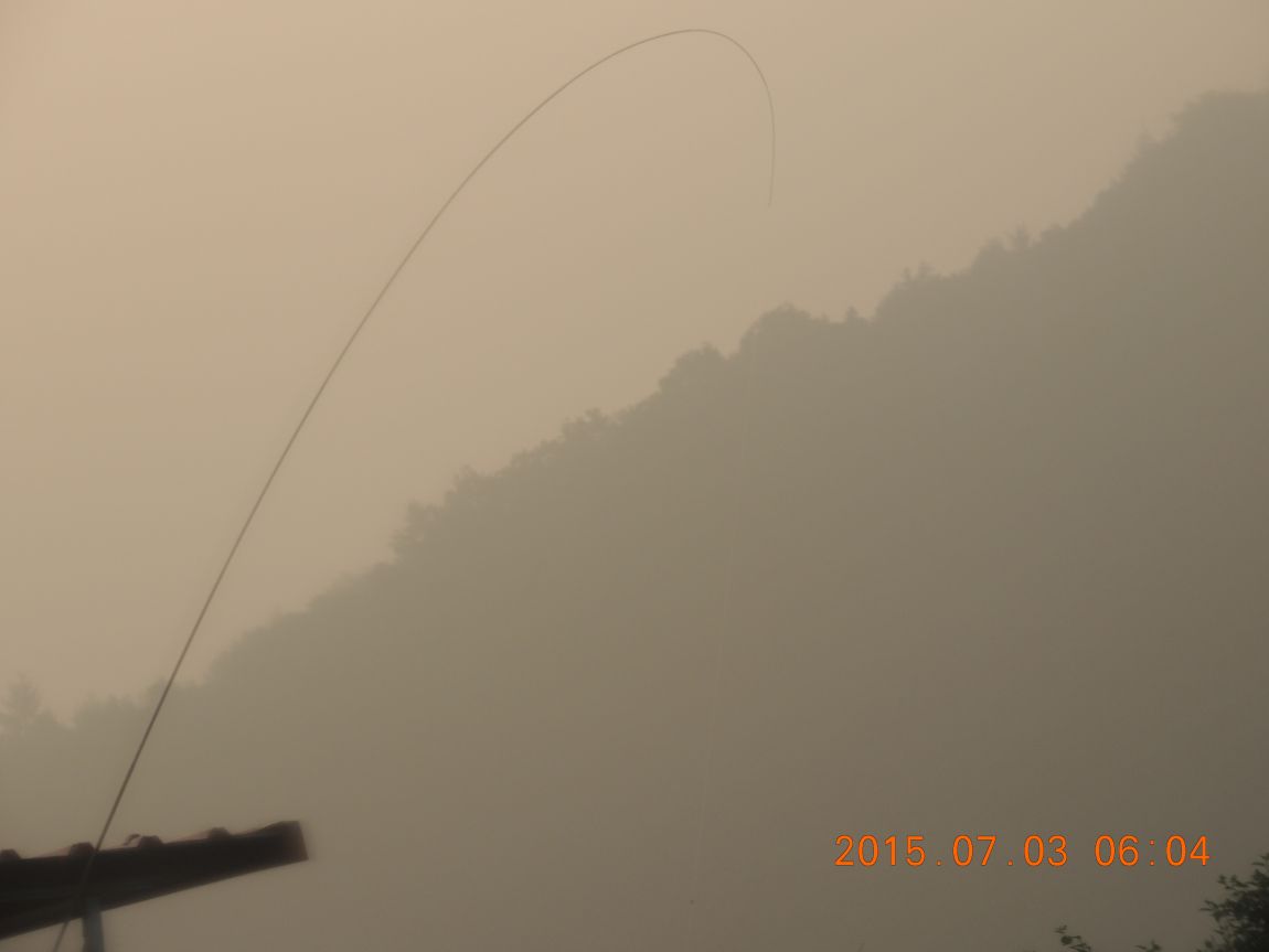 DSCN8137.JPG
