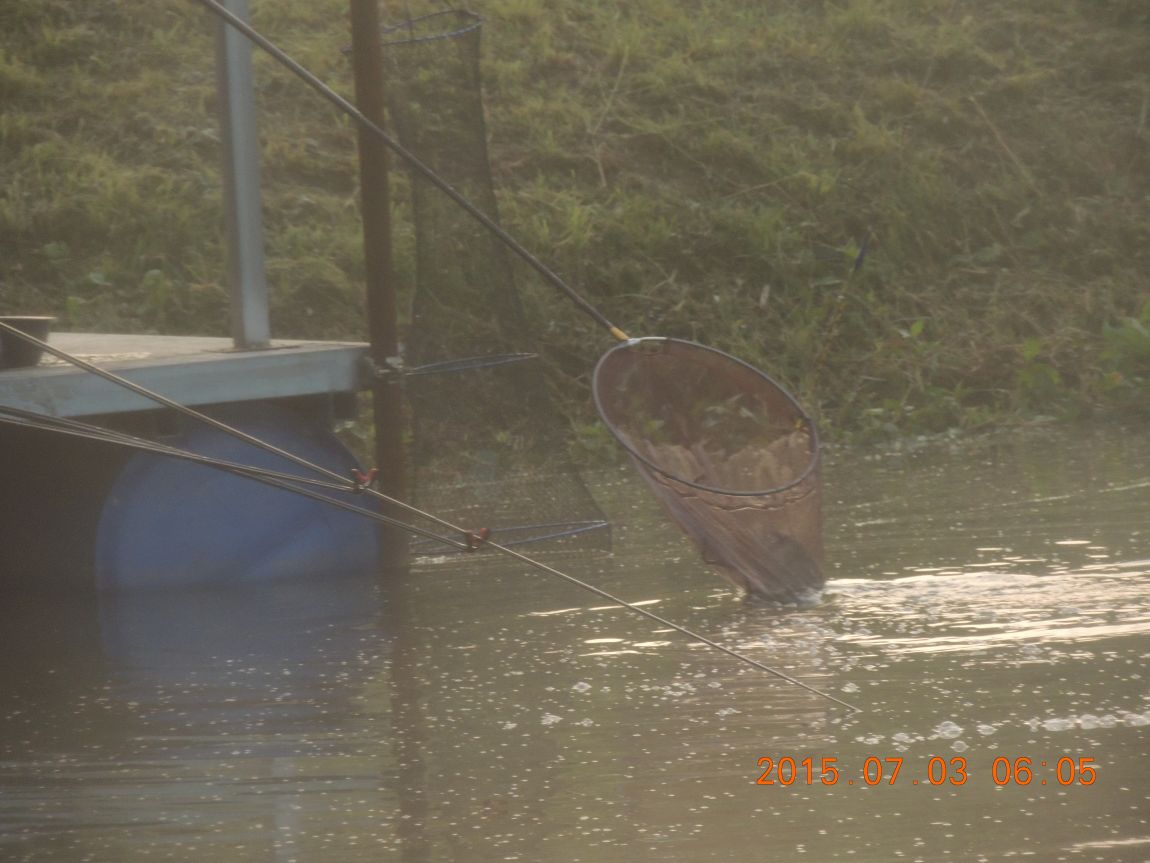 DSCN8138.JPG