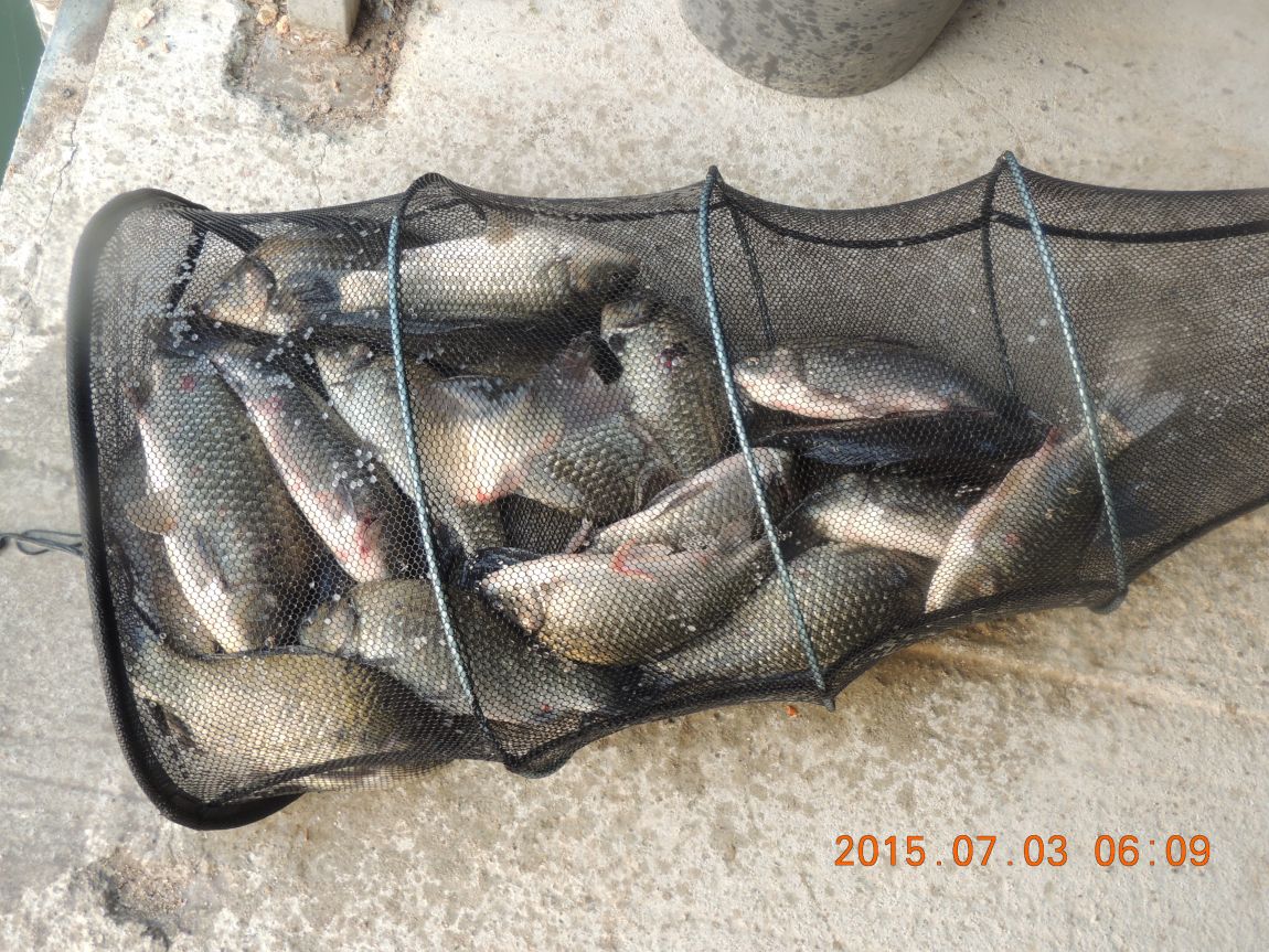 DSCN8140.JPG