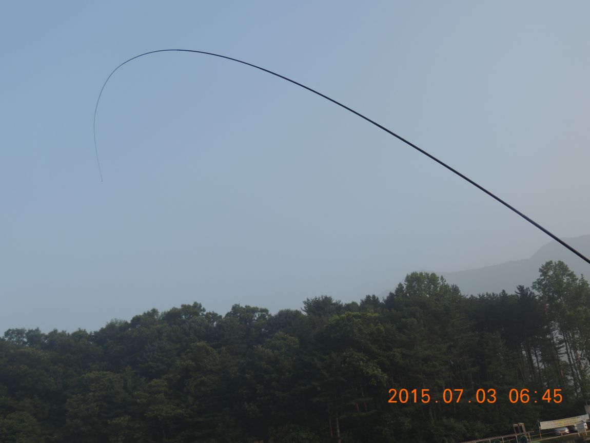 DSCN8148.JPG