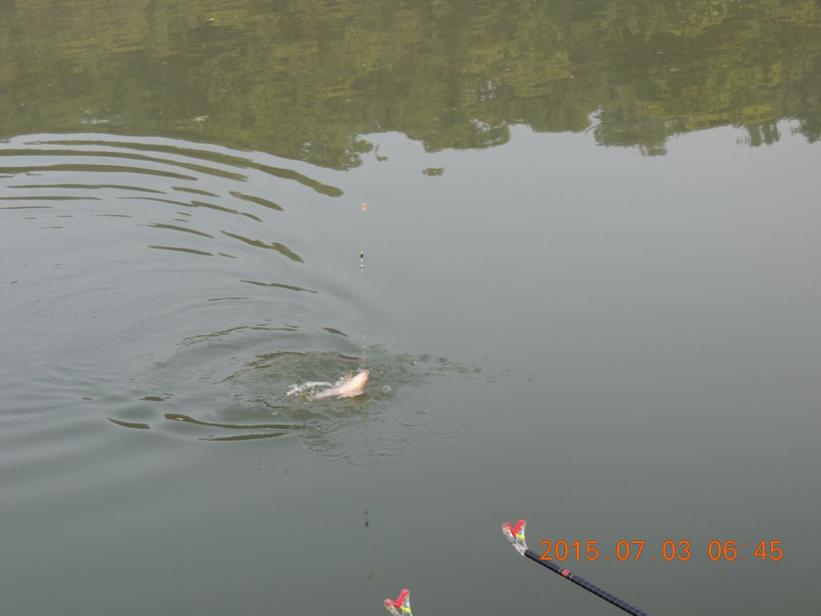 DSCN8149.JPG