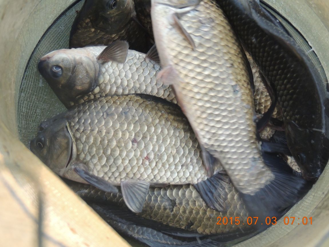 DSCN8153.JPG