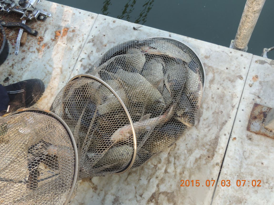 DSCN8154.JPG