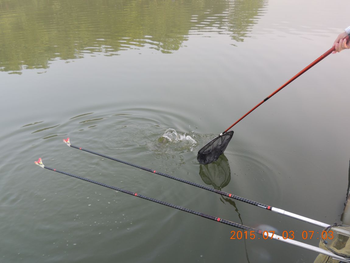 DSCN8157.JPG