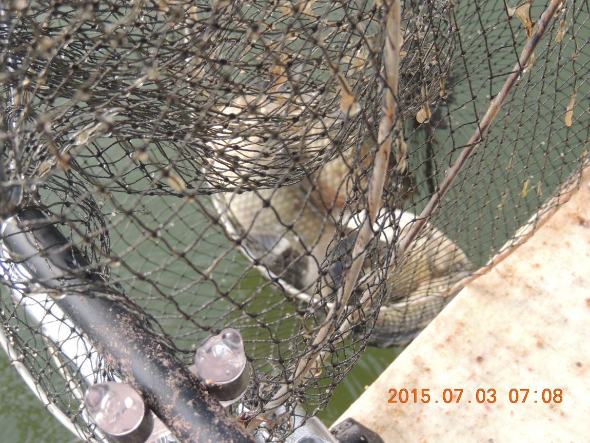 DSCN8159.JPG