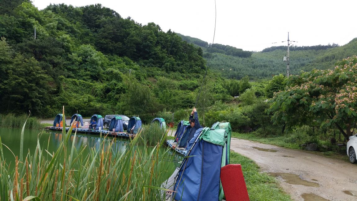 20150626_125616.jpg