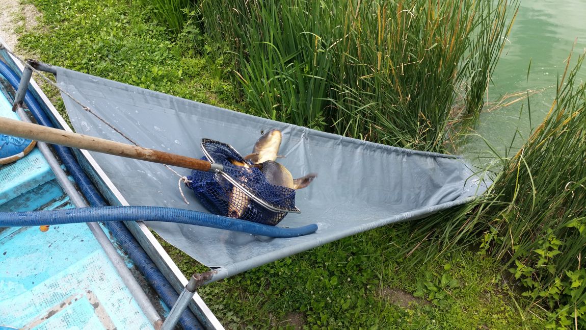 20150627_124436.jpg