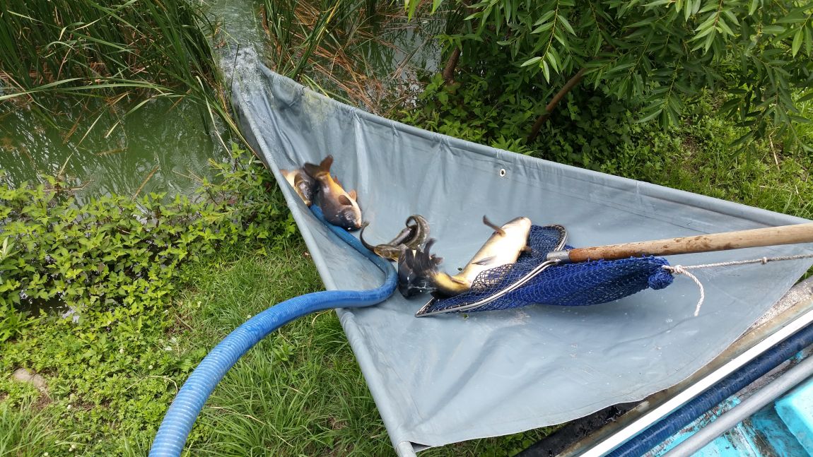 20150627_125114.jpg