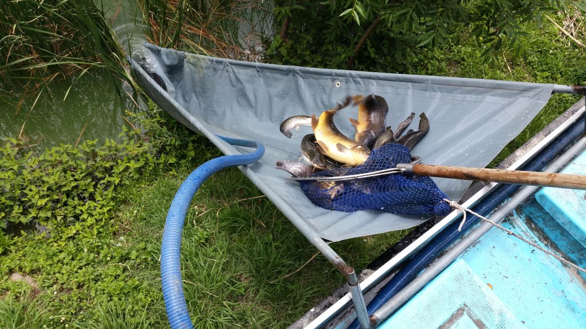 20150627_125140.jpg