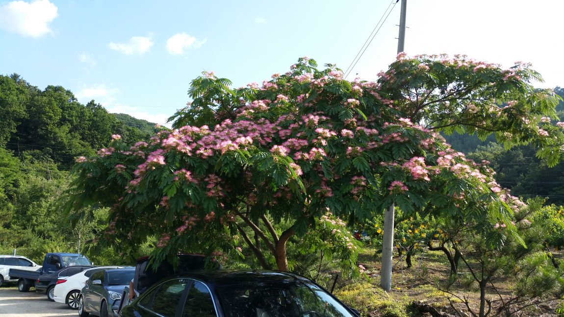 20150627_171031.jpg