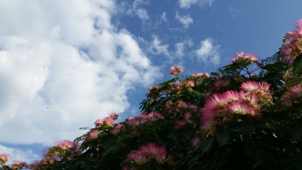 20150627_171452.jpg
