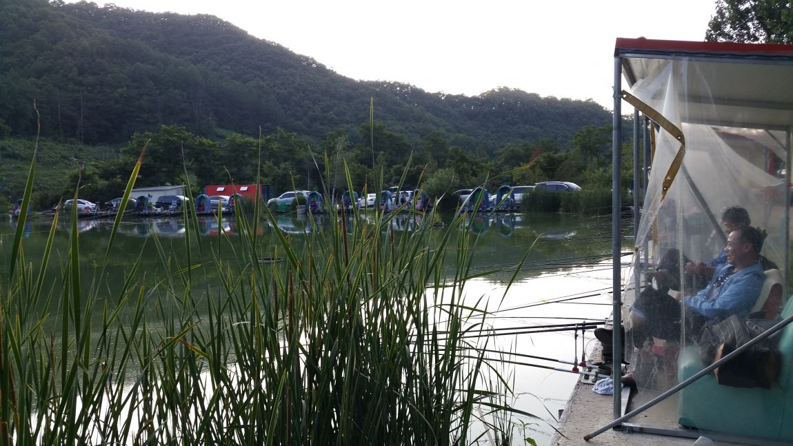 20150627_184331.jpg