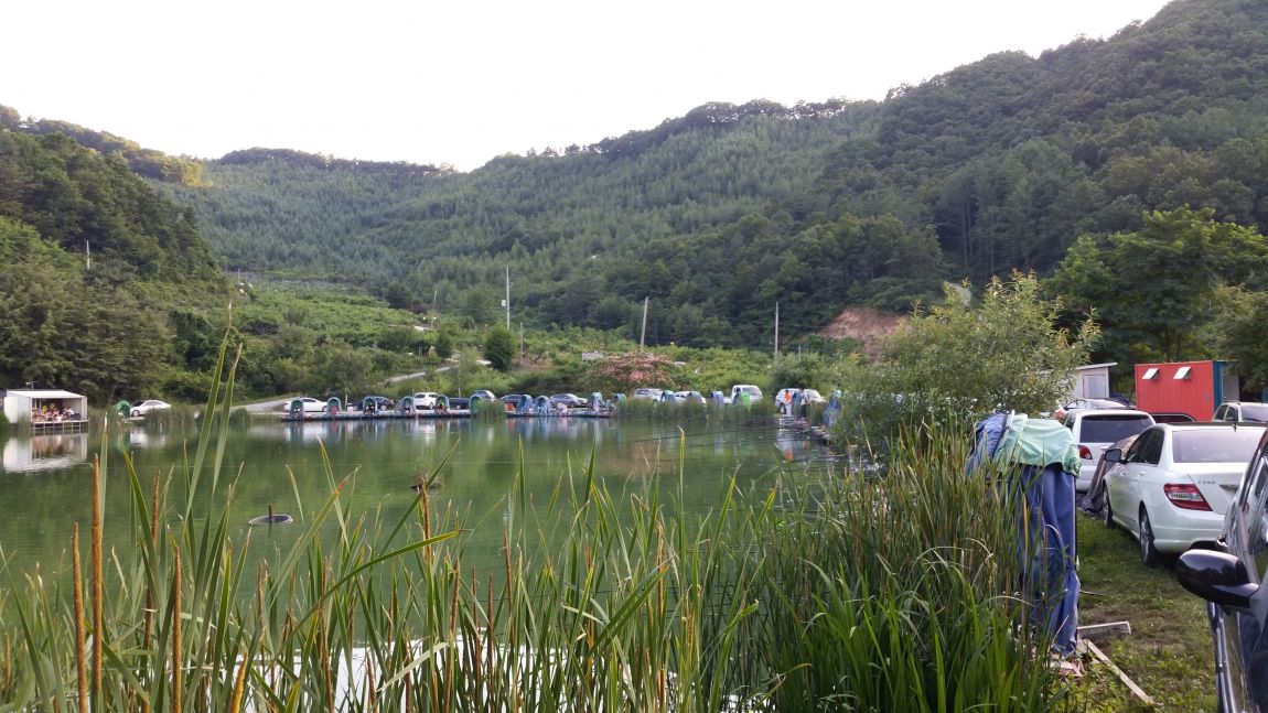 20150627_185552.jpg