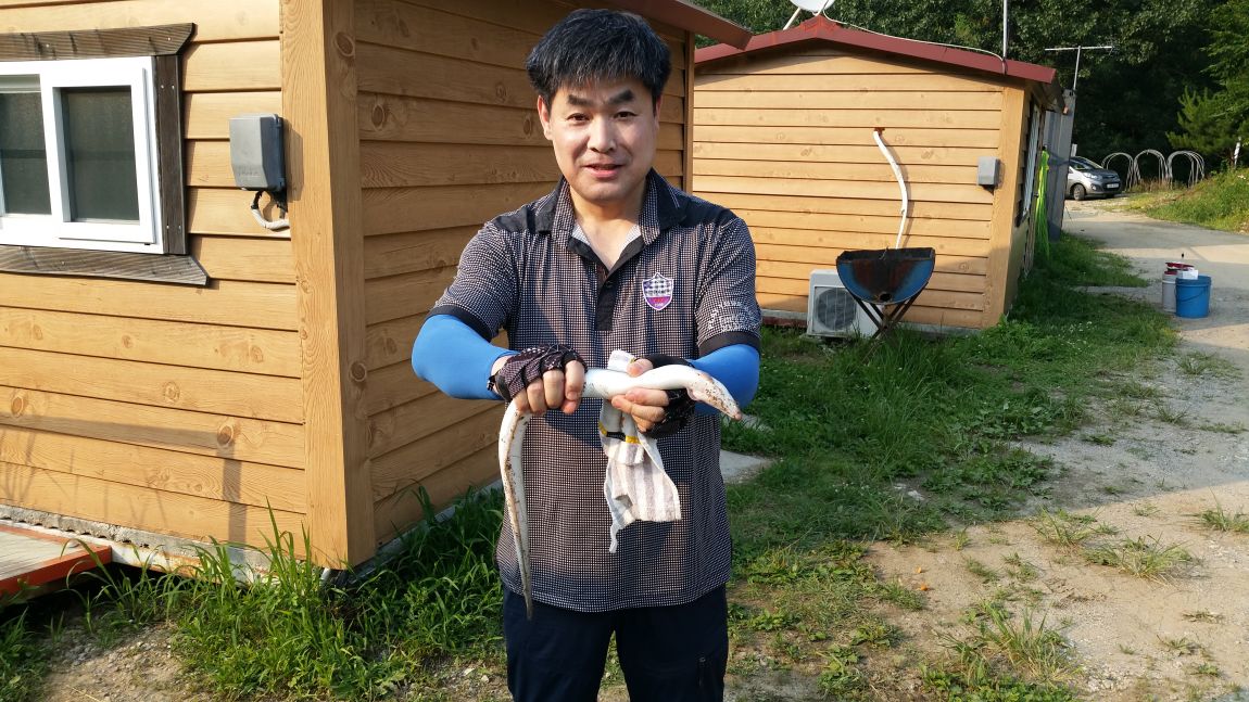 20150628_173917.jpg