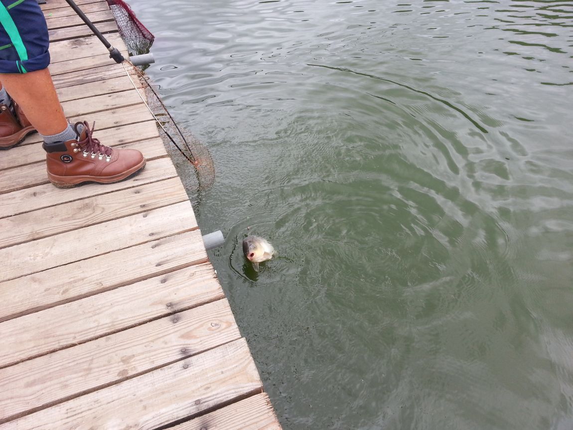 20150626_133739.jpg