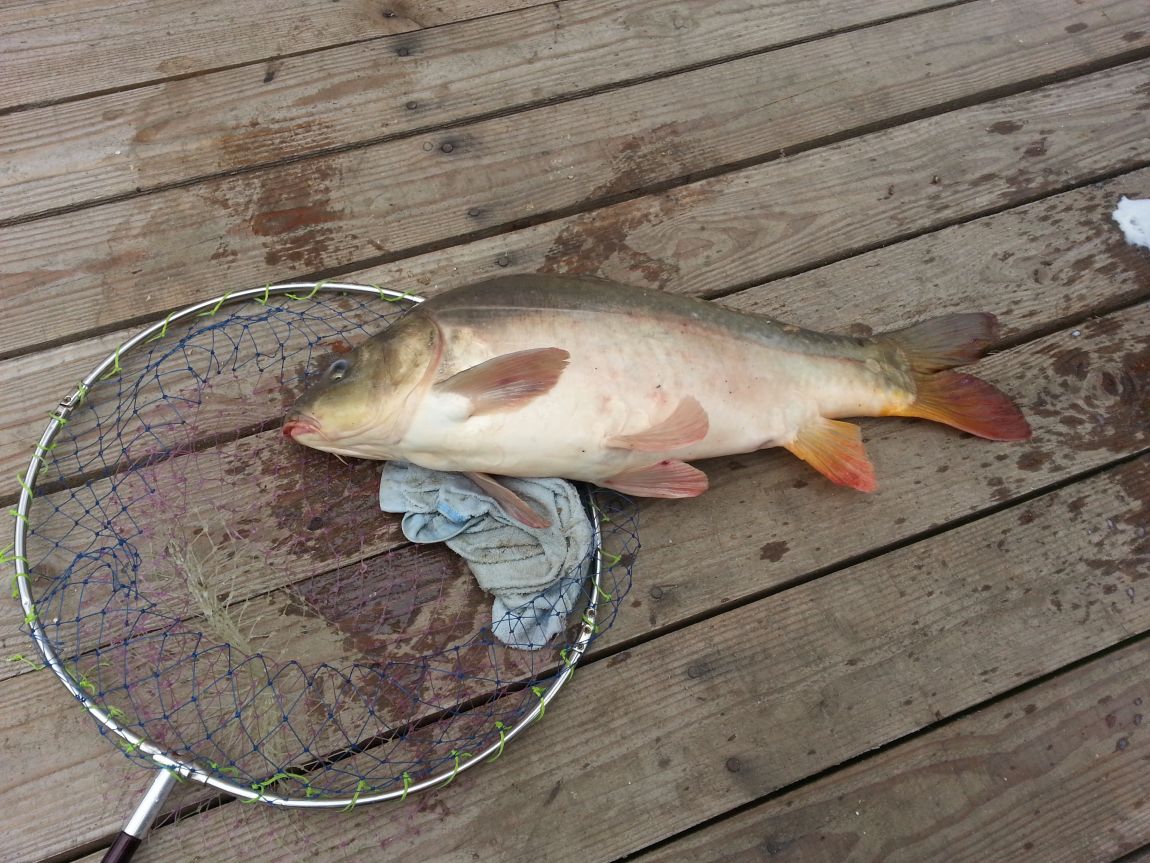 20150626_140619.jpg
