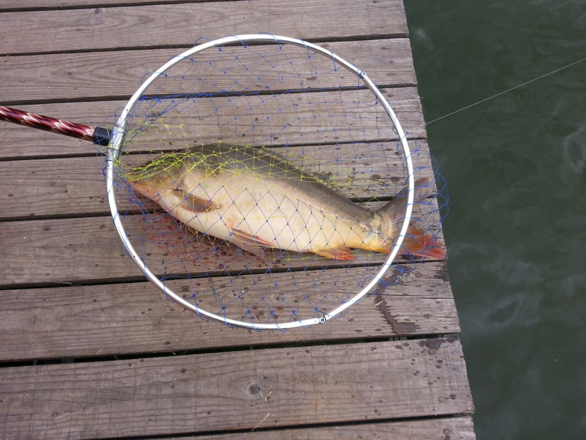 20150626_153620.jpg