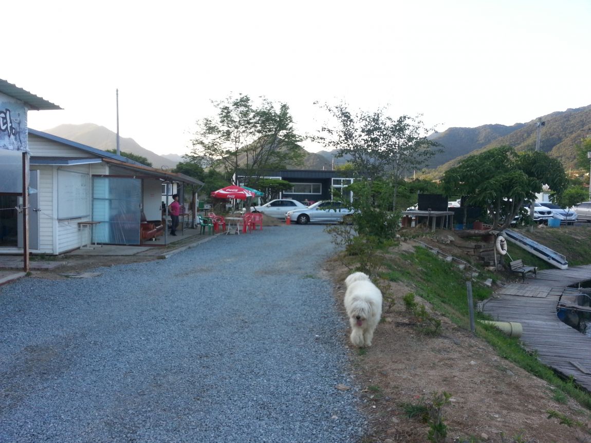 20150627_191323.jpg