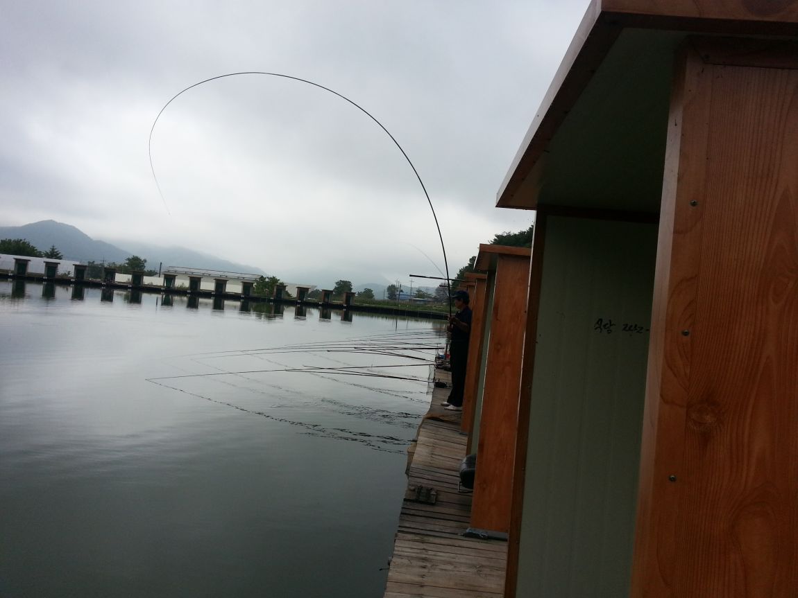 20150701_084043.jpg