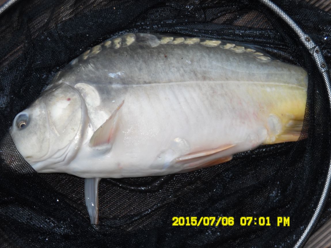 7��6��~7�� 005.JPG